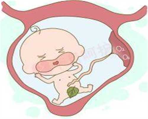 武汉地下代孕市场代孕初期吃韭菜流血了孕妇不