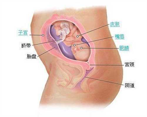 武汉正规代孕医院代孕妇在代孕期间应当注意以