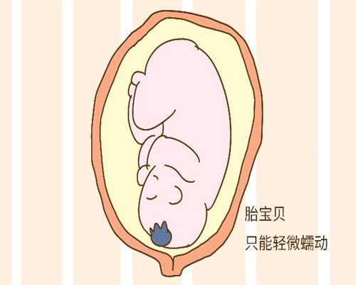 武汉最大的助孕机构：【输卵管闭塞的原因】输