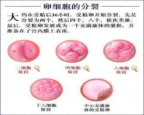 武汉长江代孕：精液偏黄是怎么影响怀孕的呢-