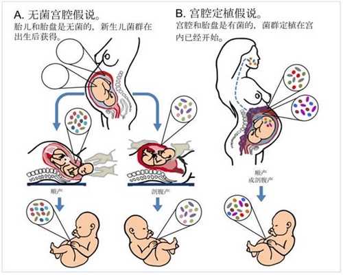 武汉长江代孕：精液偏黄是怎么影响怀孕的呢-