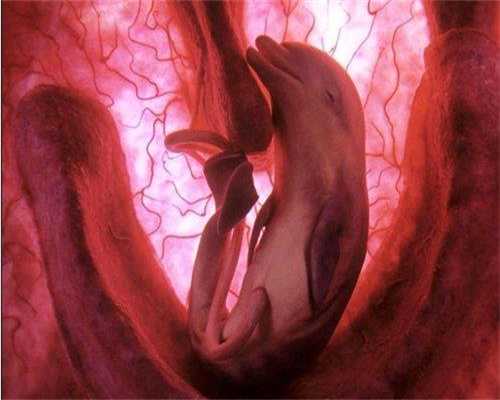 输卵管堵塞的确诊方法都有哪些